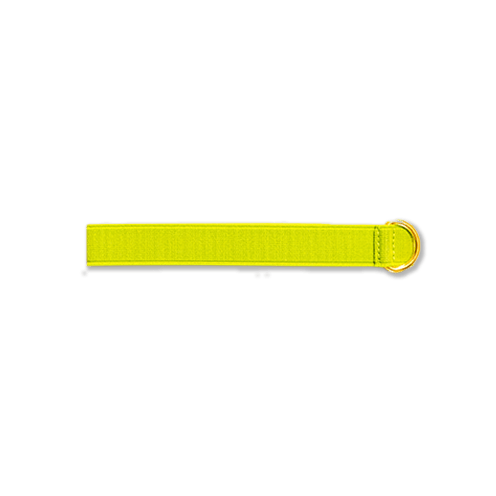 PERIDOT GREEN - Elastic Strap