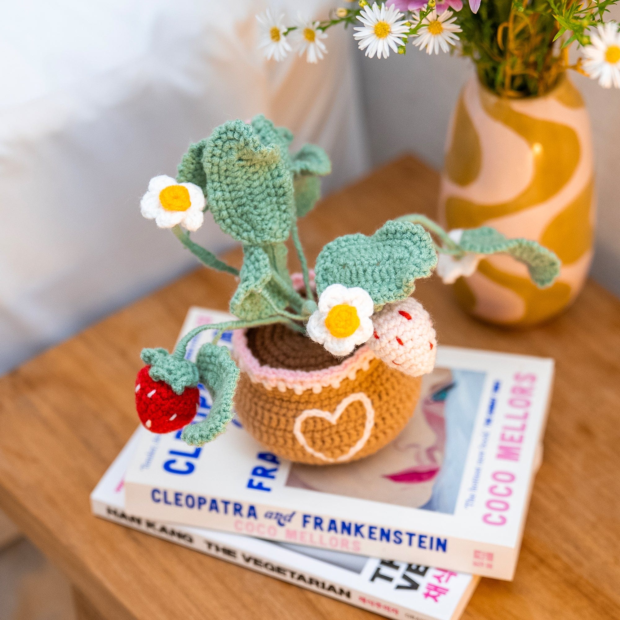 Craft Club Co Strawberry Pot - Crochet Pot Plant Kit