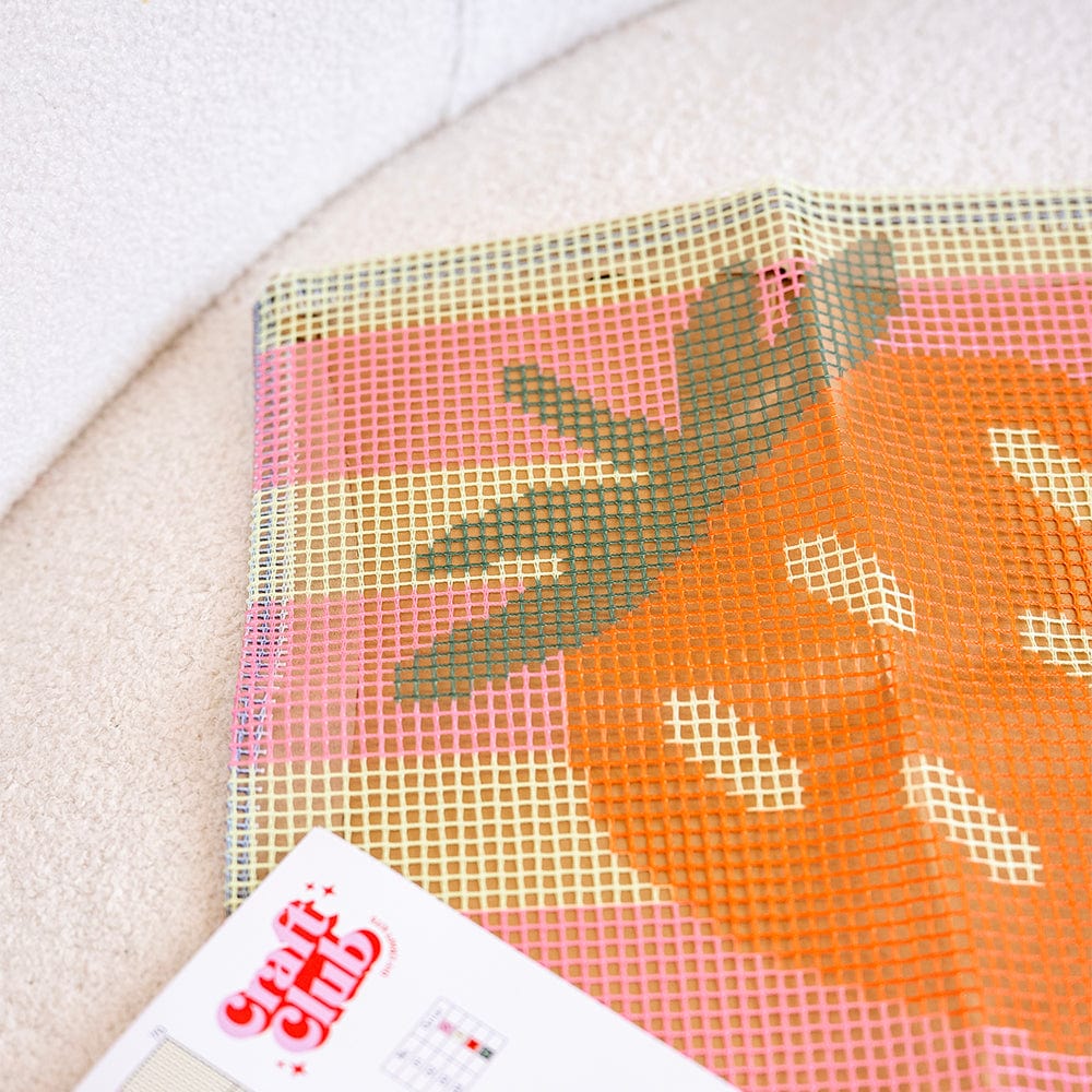 Craft Club Co RIPE STRIPES - STRAWBERRY Latch Hook Cushion Kit