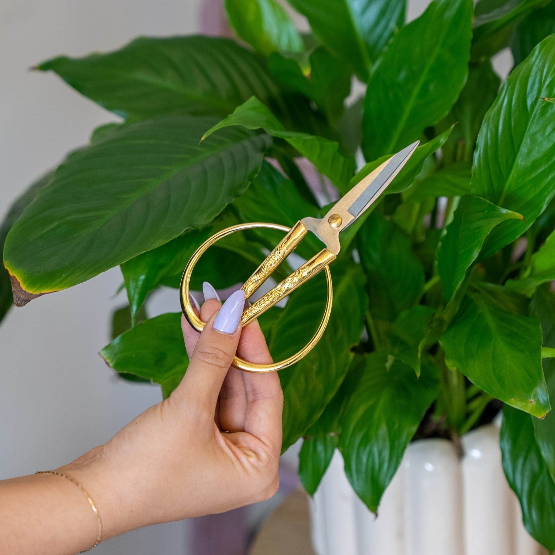 Craft Club Co GORGEOUS GREENS TRIO Moss Coaster Bundle