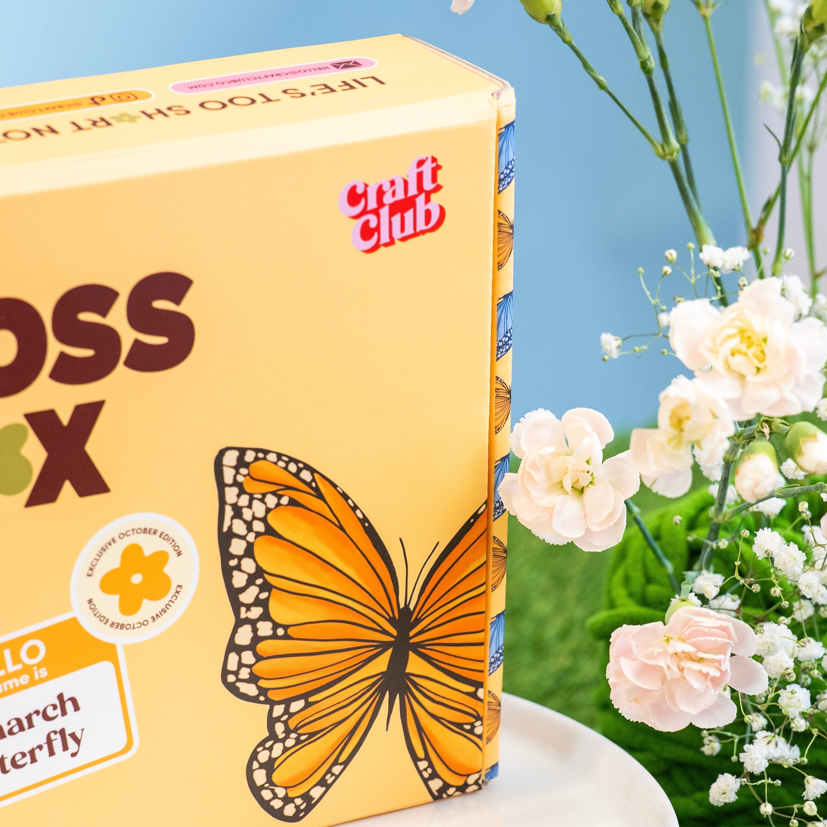 Craft Club Co Monarch Butterfly - Moss Coaster Kit