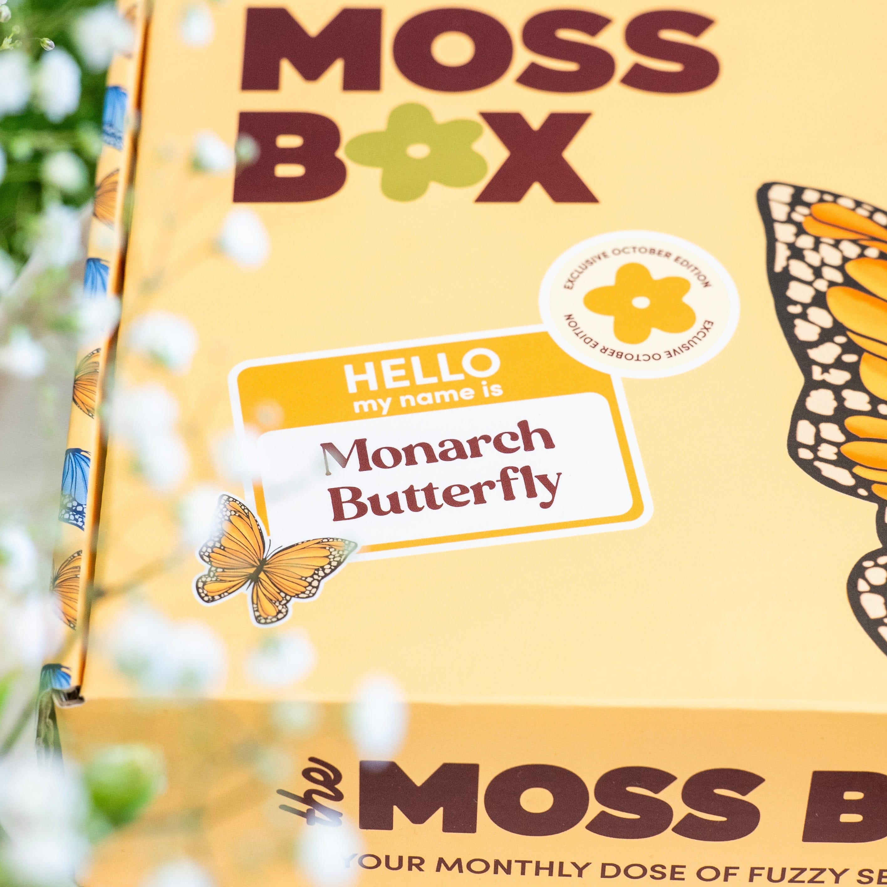 Craft Club Co Monarch Butterfly - Moss Coaster Kit