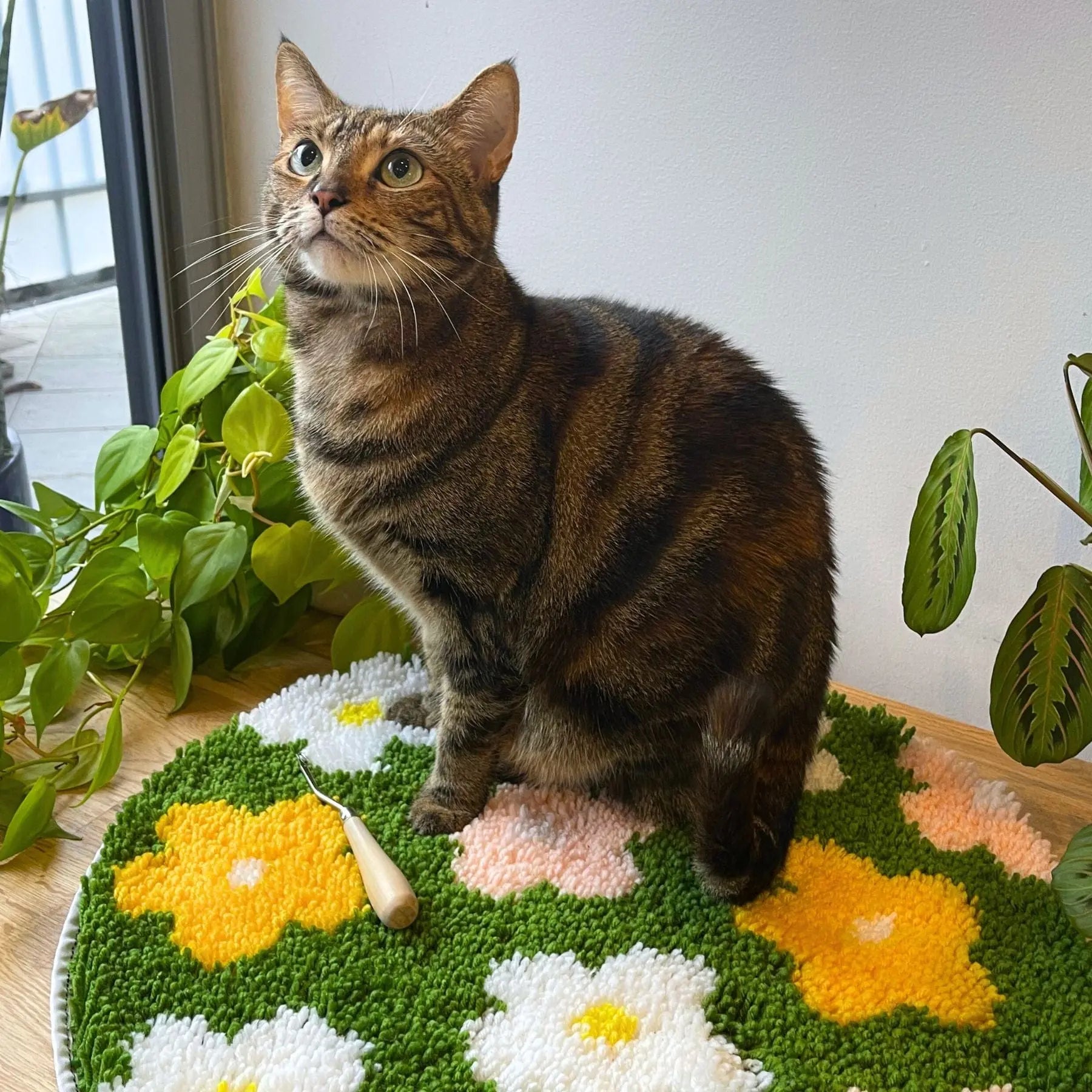 Craft Club Co FLOWER BOMB - GREEN Rug Making Kit