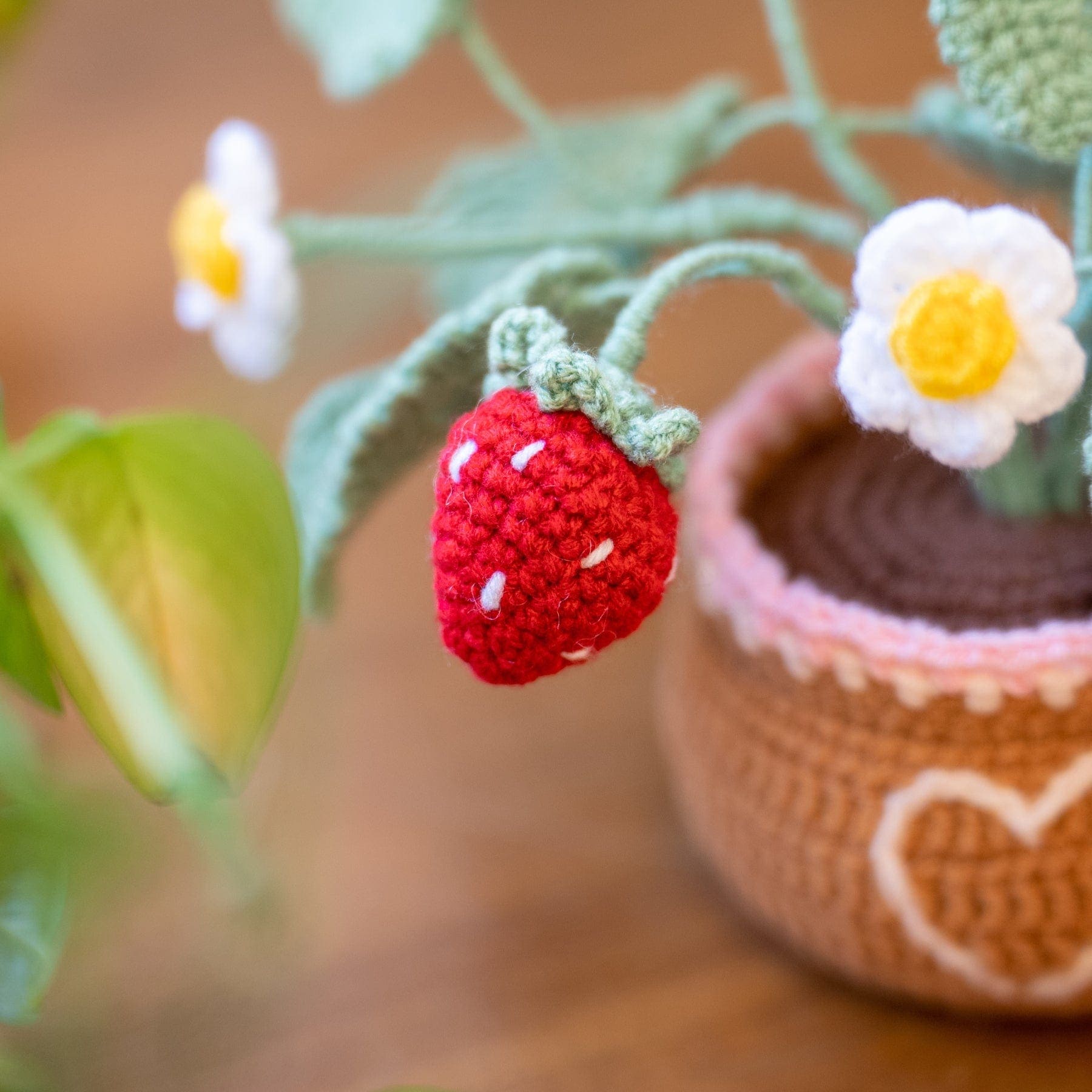 Craft Club Co Strawberry Pot DIY | Crochet Pot Plant Kit
