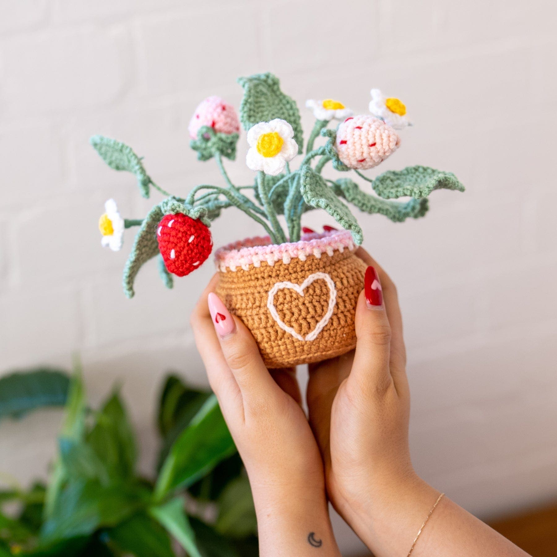 Craft Club Co Strawberry Pot DIY | Crochet Pot Plant Kit