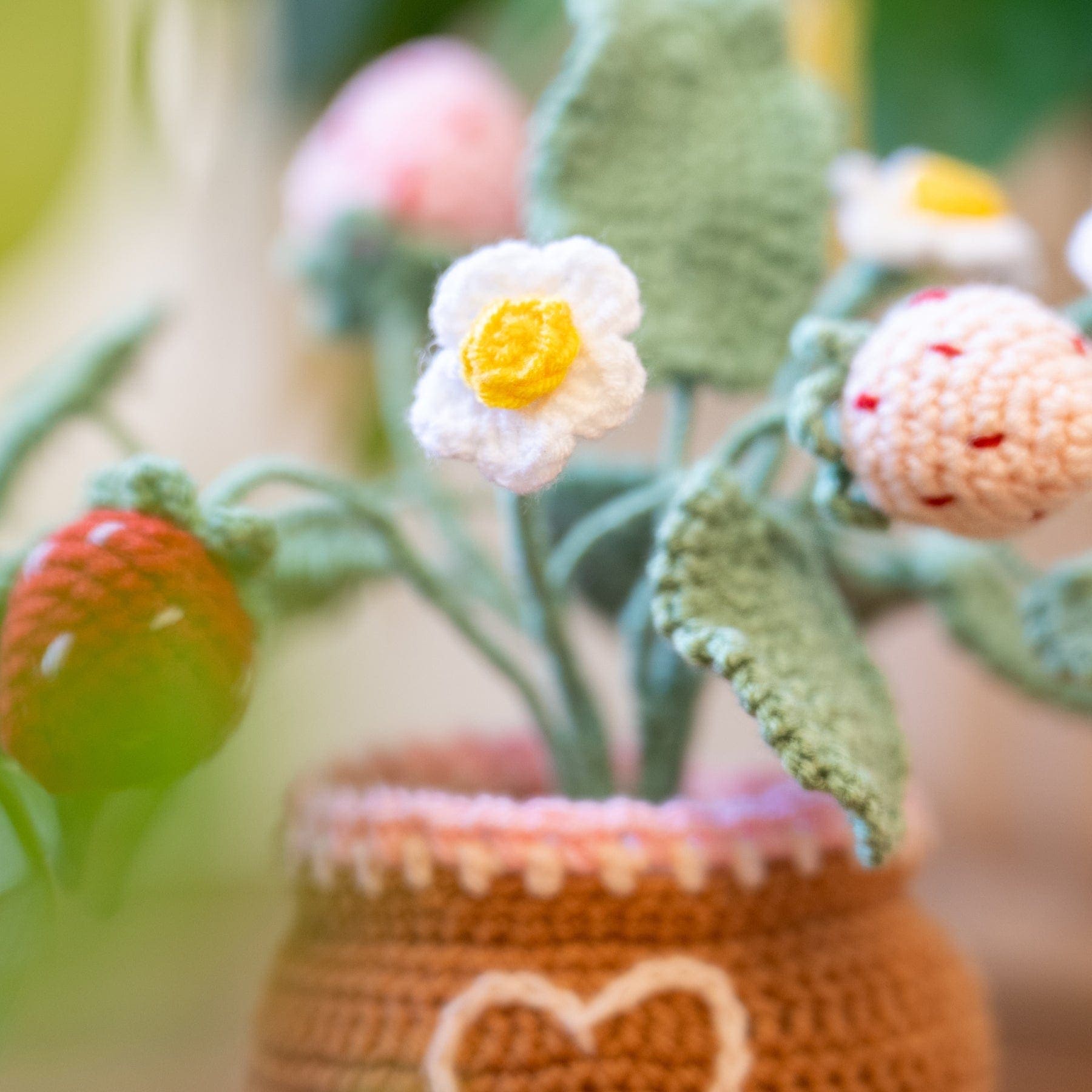 Craft Club Co Strawberry Pot DIY | Crochet Pot Plant Kit