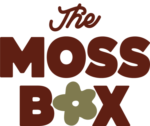 Craft Club Co The Moss Box - August