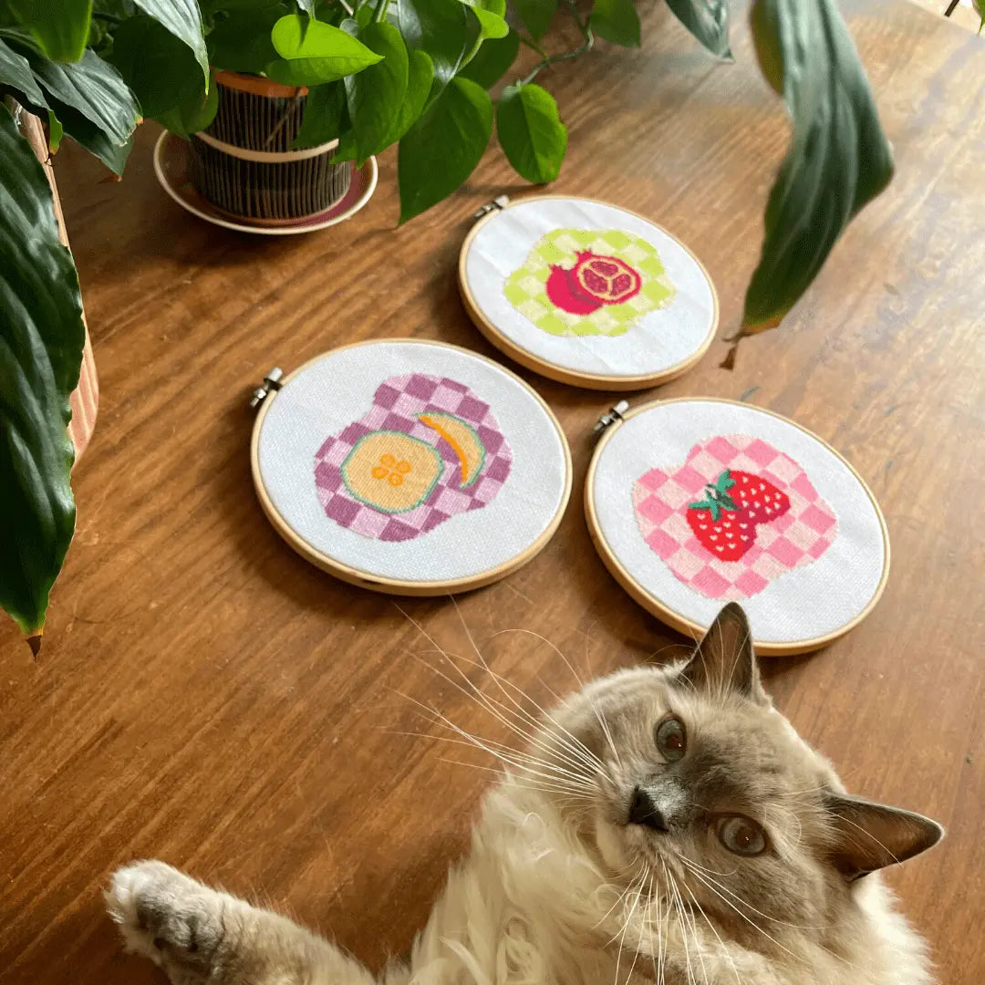 Craft Club Co STRAWBERRY SUMMER Cross Stitch Kit