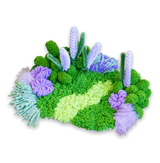 Moss Craft