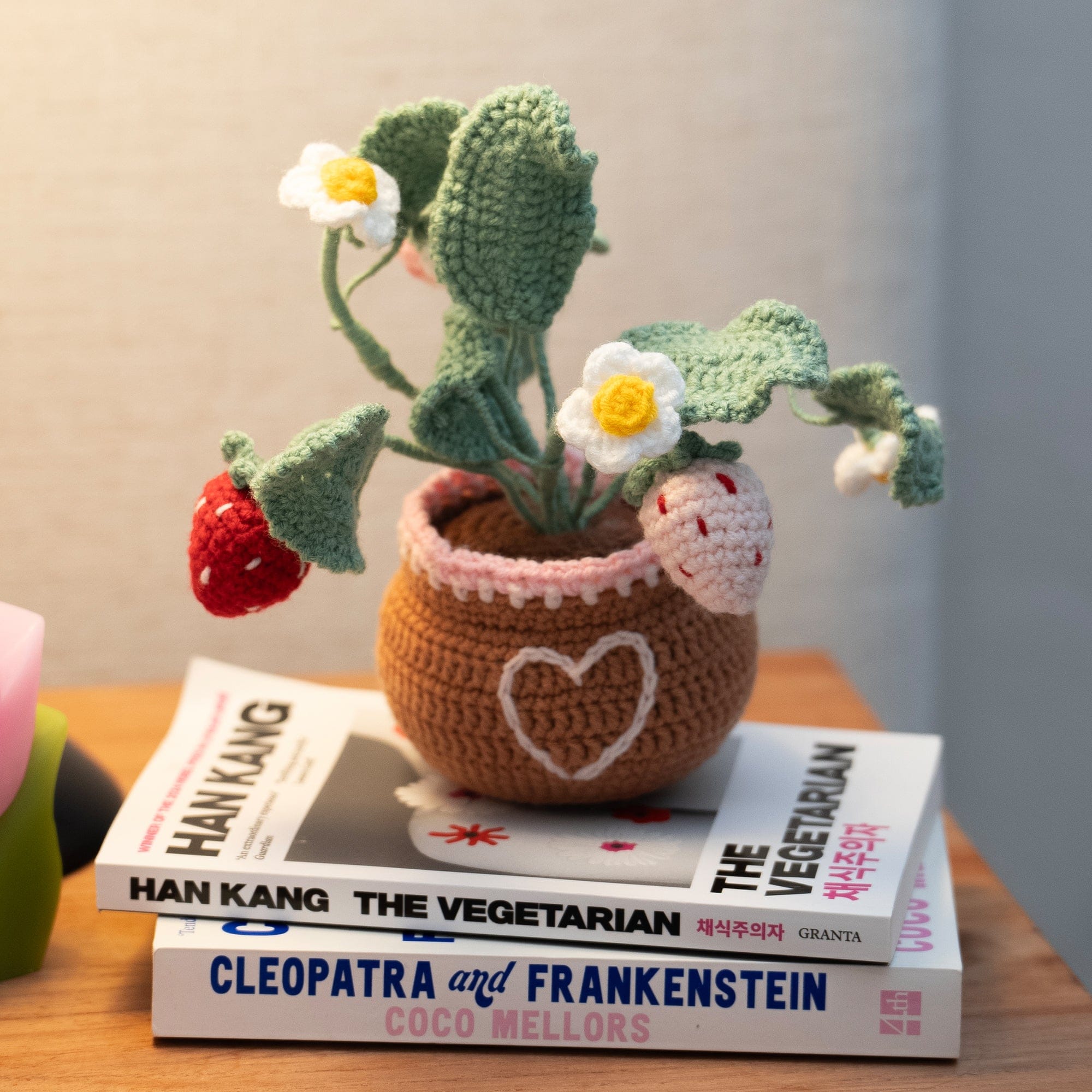 Craft Club Co Strawberry Pot - Crochet Pot Plant Kit