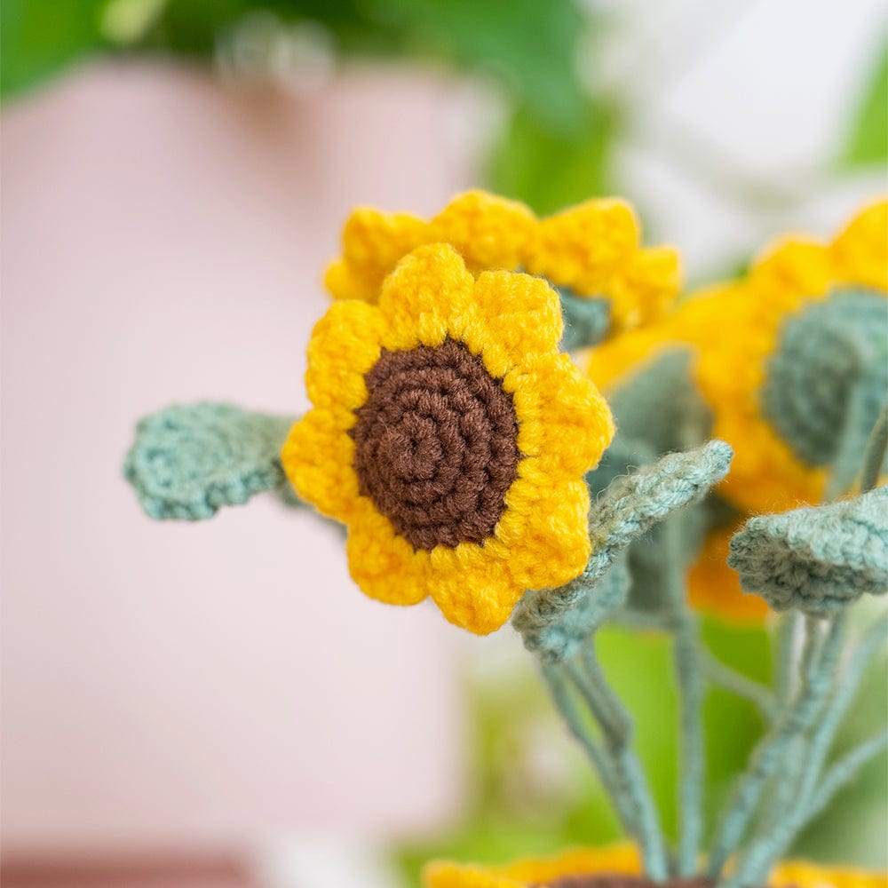 Craft Club Co Sunflower Pot DIY | Crochet Pot Plant Kit