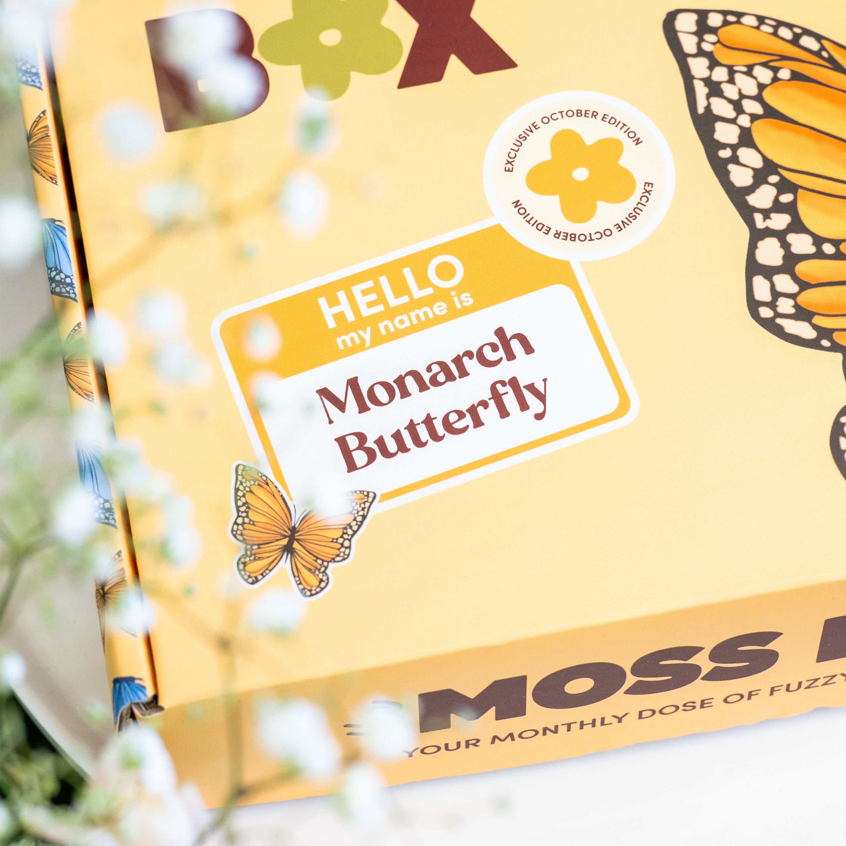 Craft Club Co The Moss Box