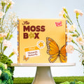 Craft Club Co The Moss Box