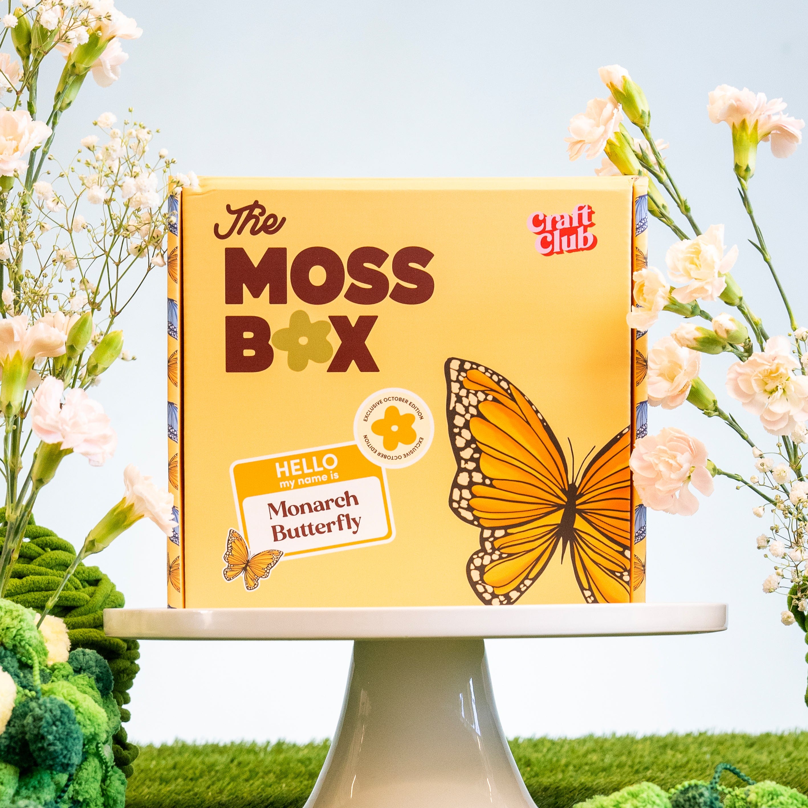 Craft Club Co The Moss Box
