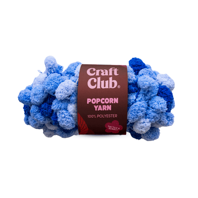 Craft Club Co Blue Popcorn Yarn