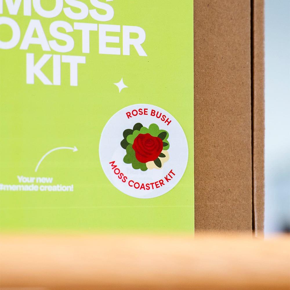 Craft Club ROSE BUSH- Moss Coaster Kit