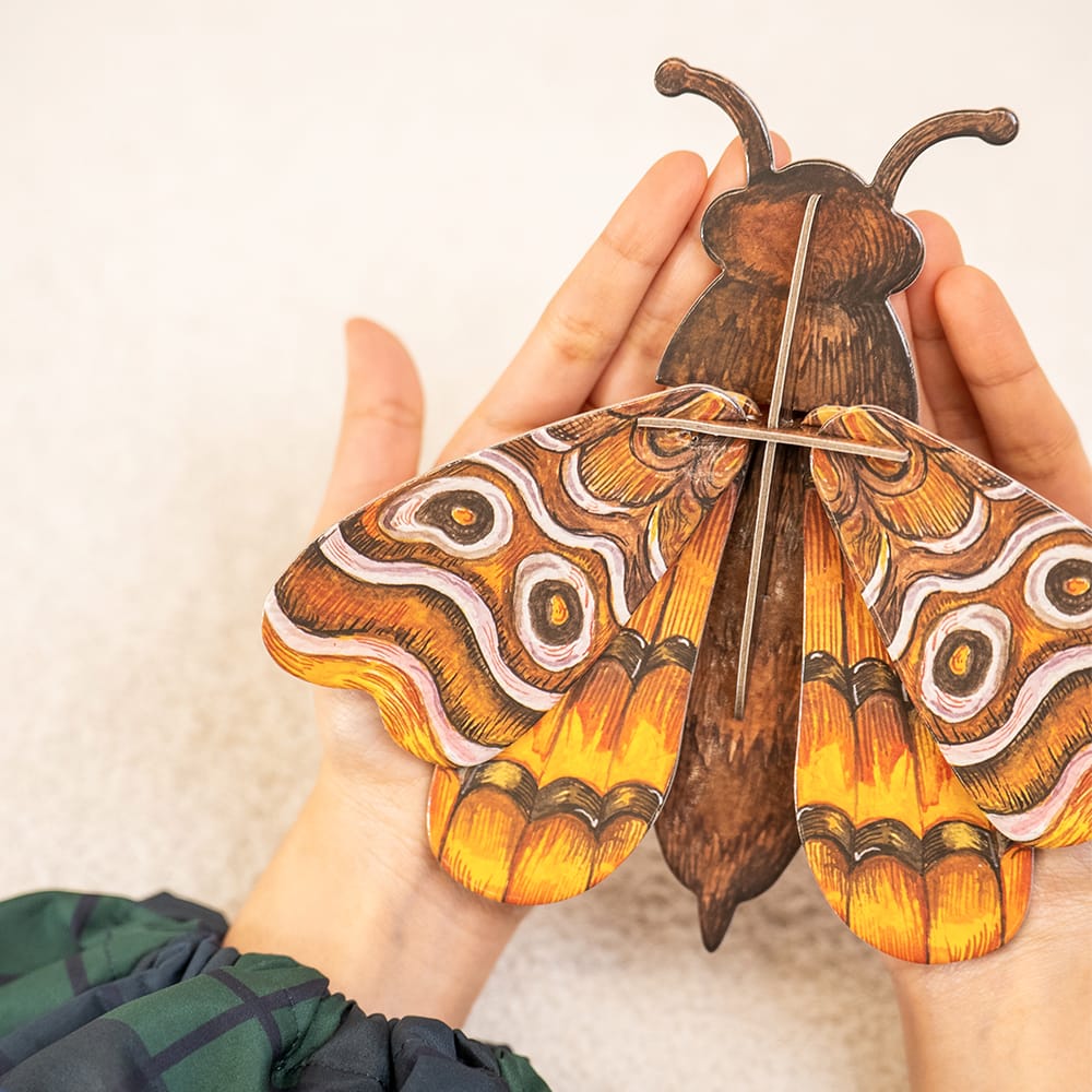 Craft Club ATLAS MIDI MOTH - Paper Craft 3D Puzzle Kit