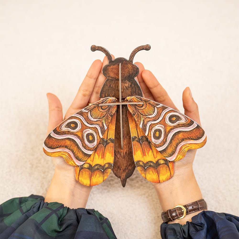 Craft Club ATLAS MIDI MOTH - Paper Craft 3D Puzzle Kit