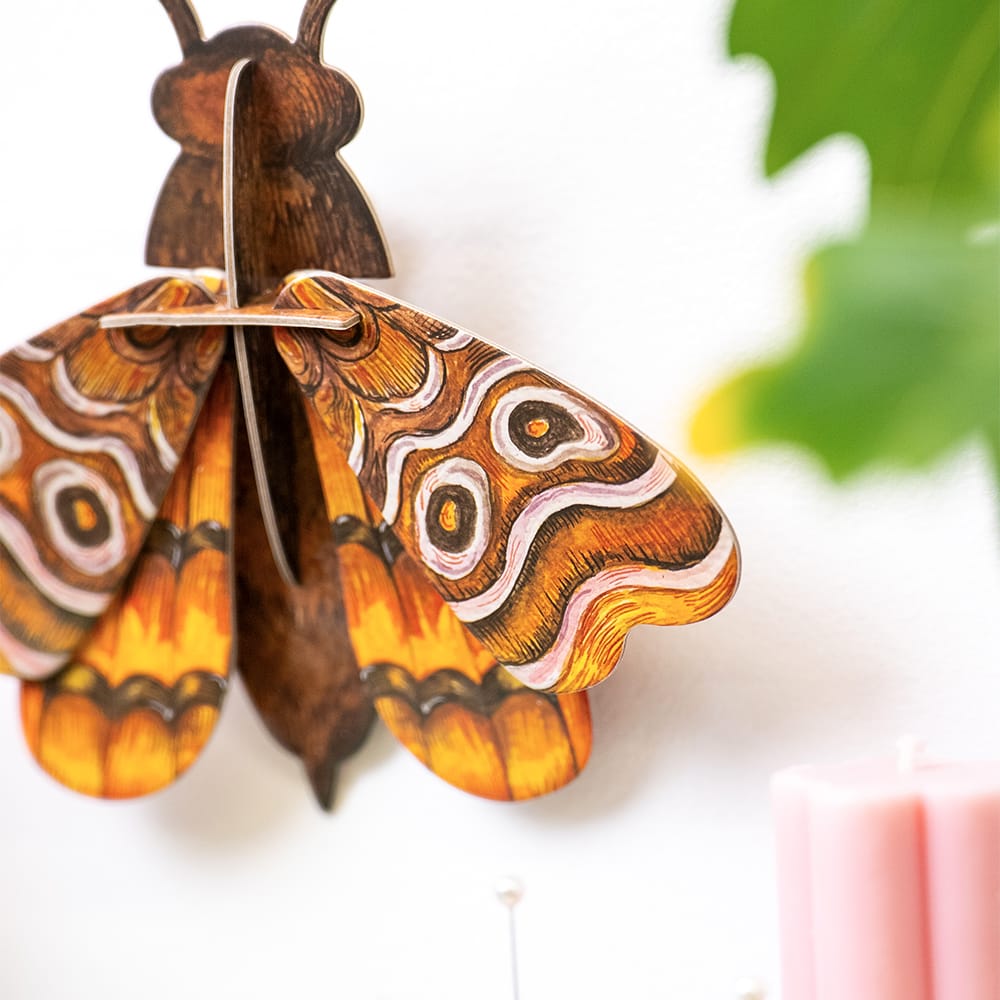 Craft Club ATLAS MIDI MOTH - Paper Craft 3D Puzzle Kit
