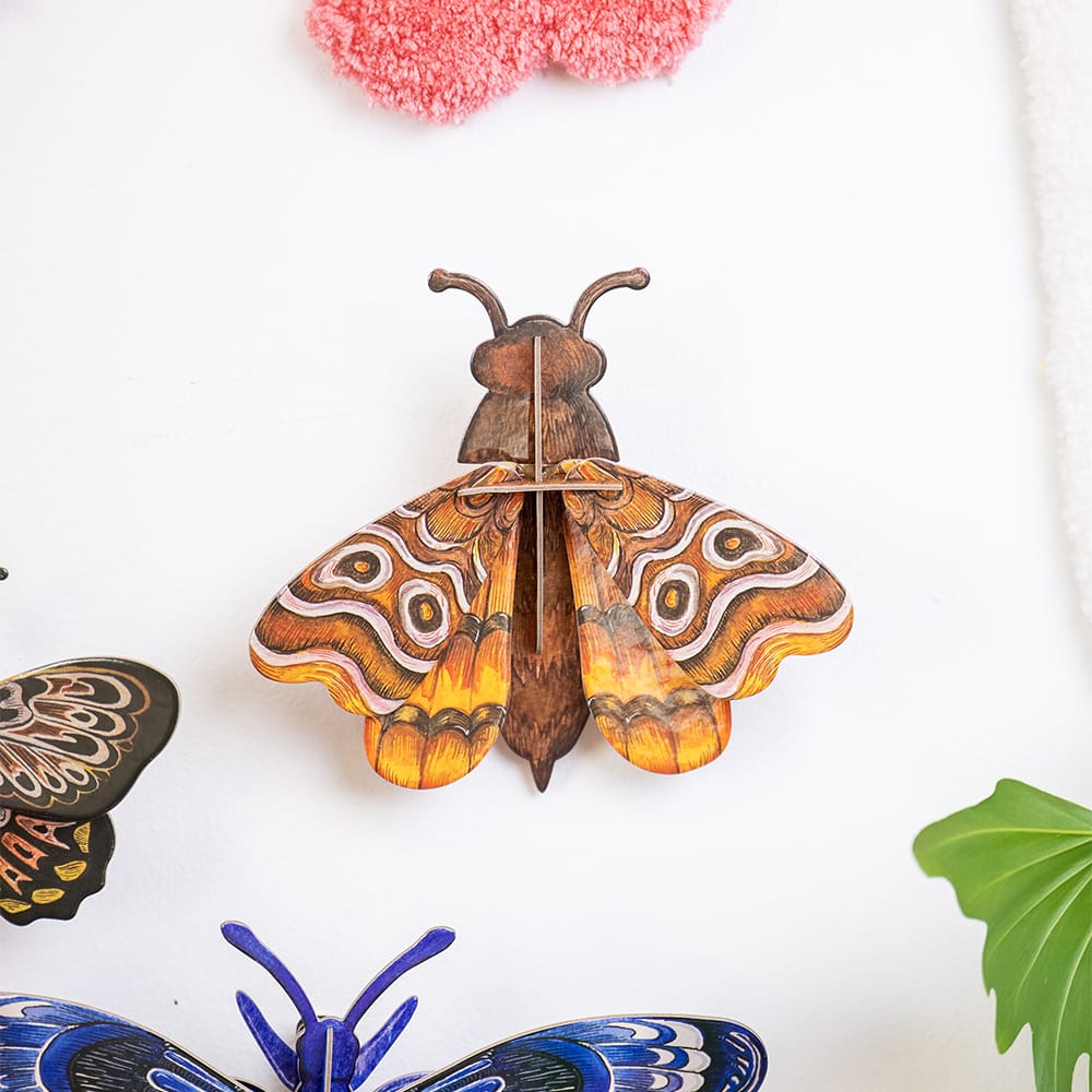 Craft Club ATLAS MIDI MOTH - Paper Craft 3D Puzzle Kit