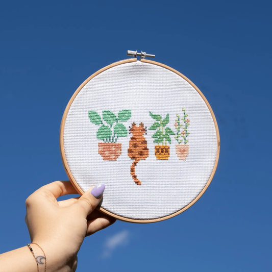 Beginner Cross Stitch Kit