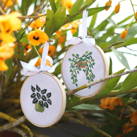 Craft Club Co POT PLANT MINIS Cross Stitch Kit. Two of the three mini designs sits in a large native orchid hanging from its stems. The bright orange flowers of the orchid surround the cross stitch ornaments.