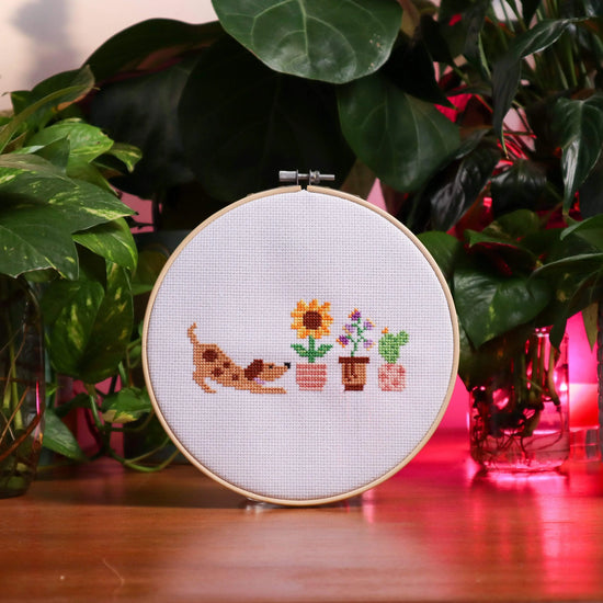 Mini CrossStitch Embroidery Kit Cactus, FREE SHIPPING