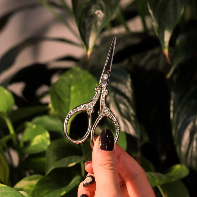 Craft Club Co Scissors. Gold embroidery scissors are shown being held by a hand. The background is lush with leaves from pot plants.